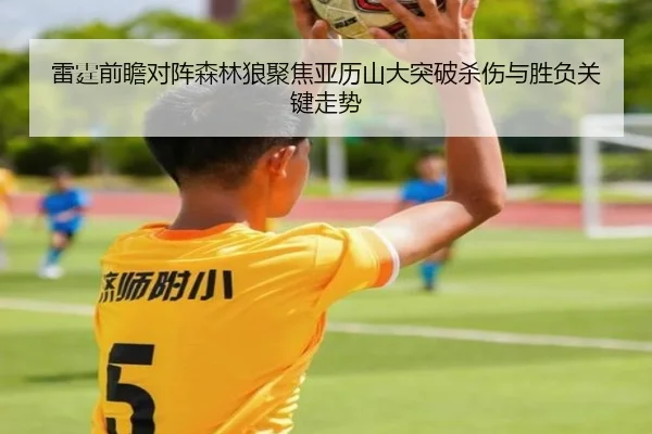 雷霆前瞻对阵森林狼聚焦亚历山大突破杀伤与胜负关键走势